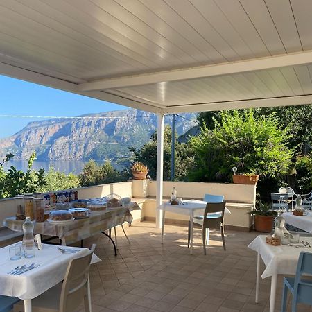 Villa Caterina Affittacamere Maratea Eksteriør billede